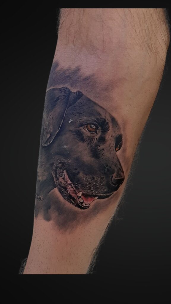 Pet tattoo